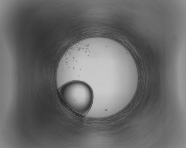X0000111840505200907231042