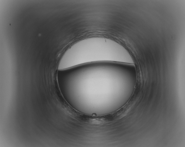 X0000111840508200907231042