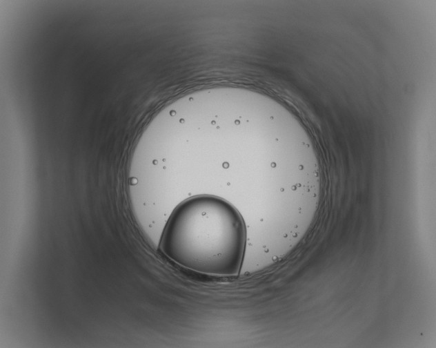 X0000111840509200907231042