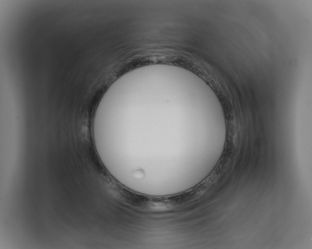 X0000111840510200907231042