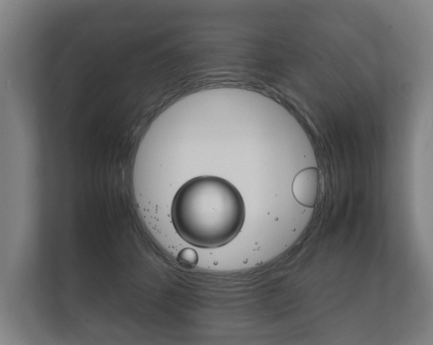 X0000111840512200907231042