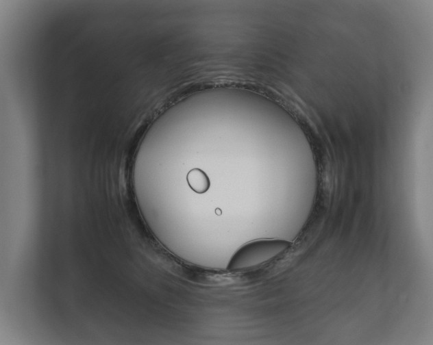 X0000111840516200907231042