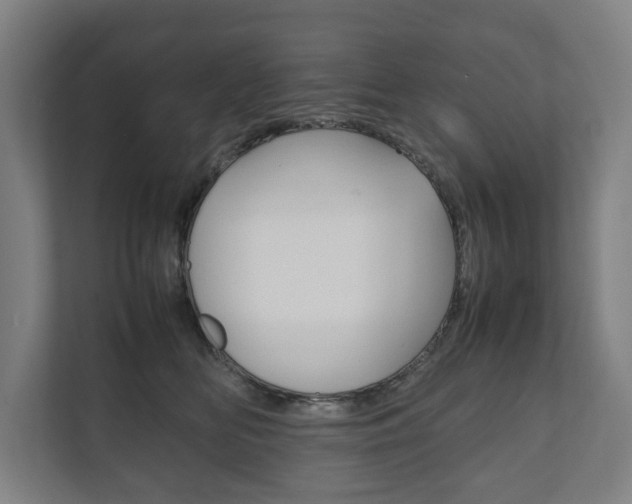 X0000111840518200907231042