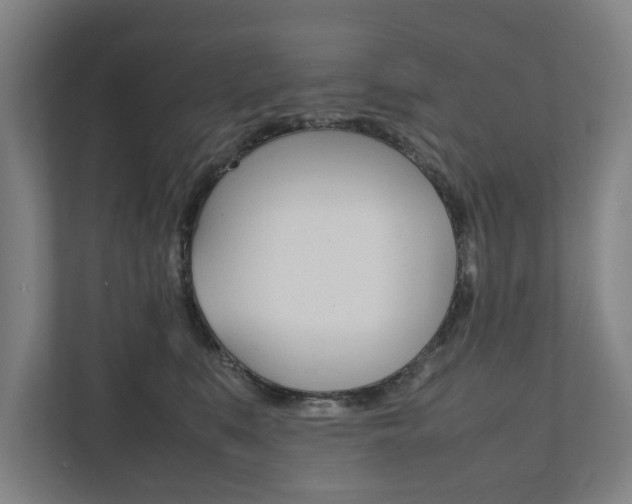 X0000111840519200907231042