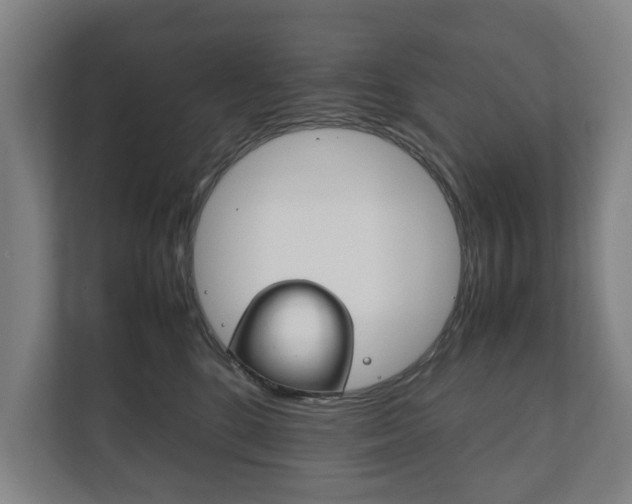 X0000111840520200907231042