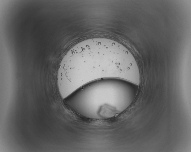 X0000111840521200907231042