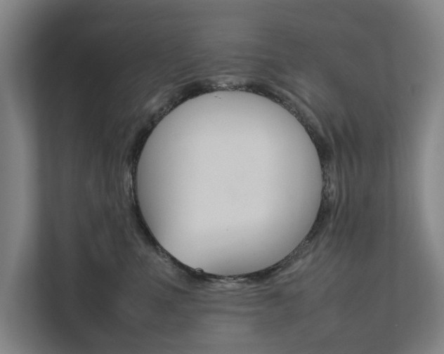 X0000111840523200907231042