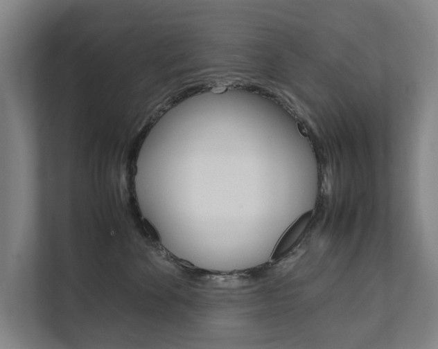 X0000111840524200907231042
