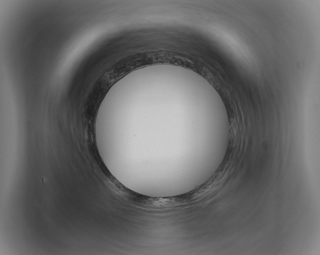 X0000111840527200907231041