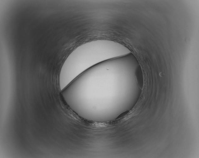 X0000111840528200907231041