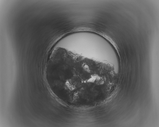 X0000111840529200907231041