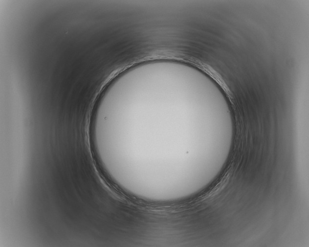 X0000111840530200907231041