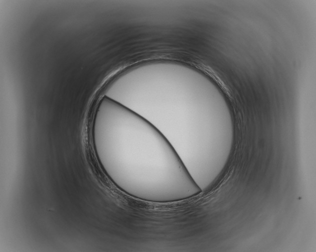 X0000111840531200907231041
