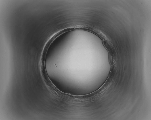 X0000111840532200907231041