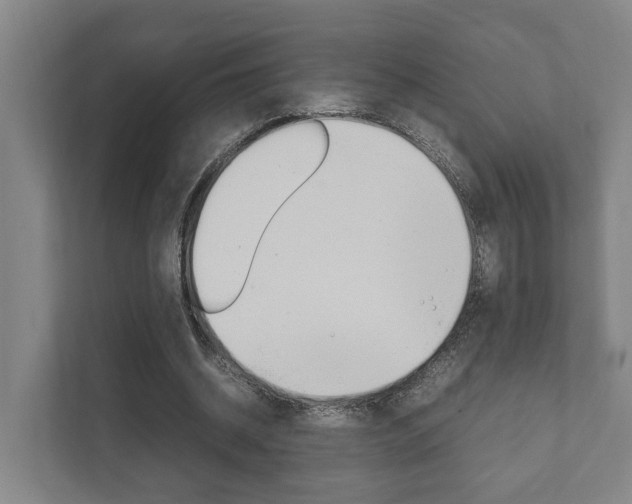 X0000111840534200907231041