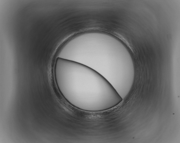 X0000111840535200907231041