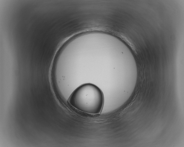 X0000111840536200907231041