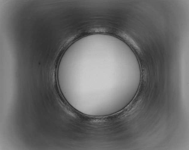 X0000111840537200907231041
