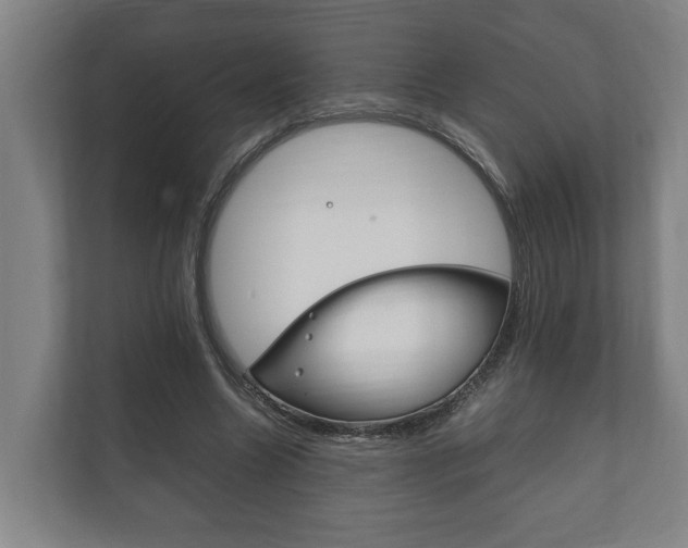 X0000111840538200907231041