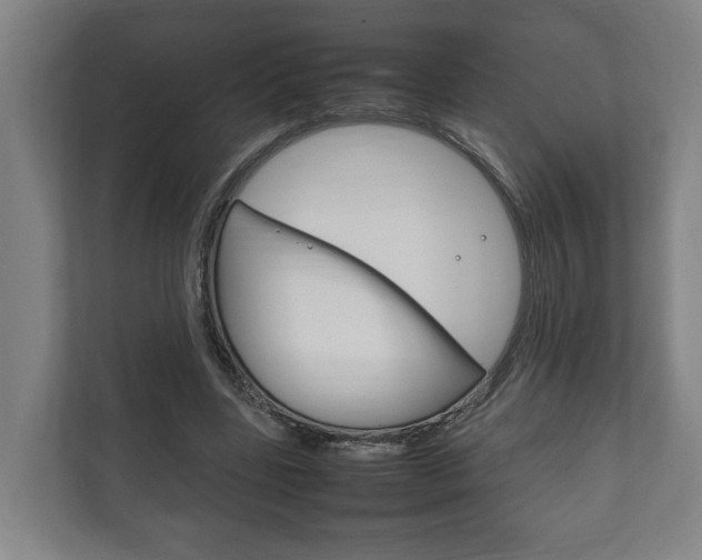 X0000111840539200907231041