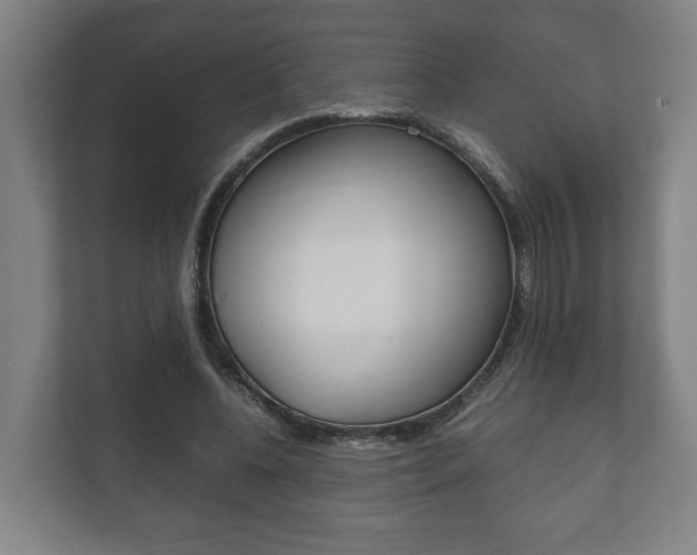 X0000111840540200907231041