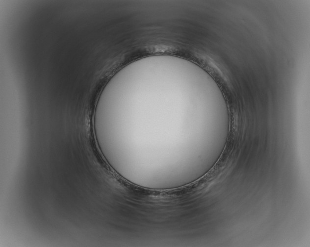 X0000111840545200907231041
