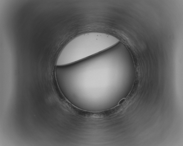 X0000111840546200907231041