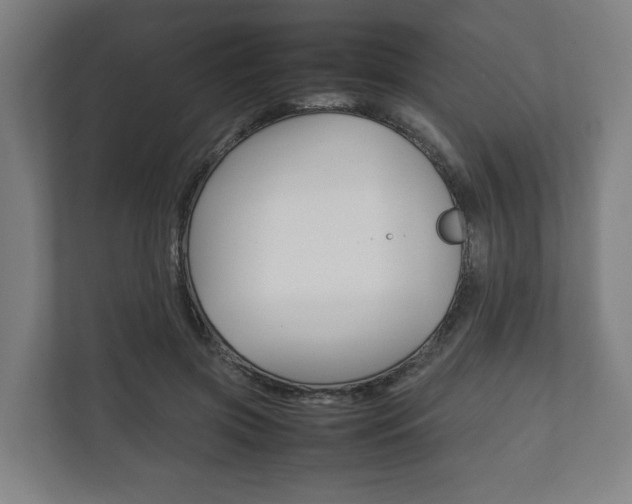 X0000111840549200907231041