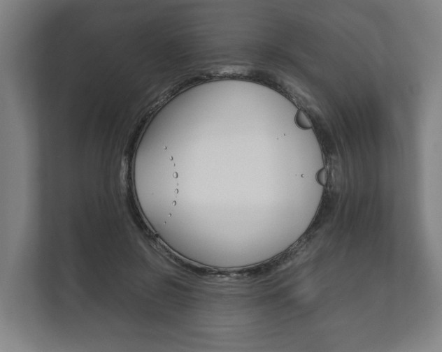 X0000111840550200907231041