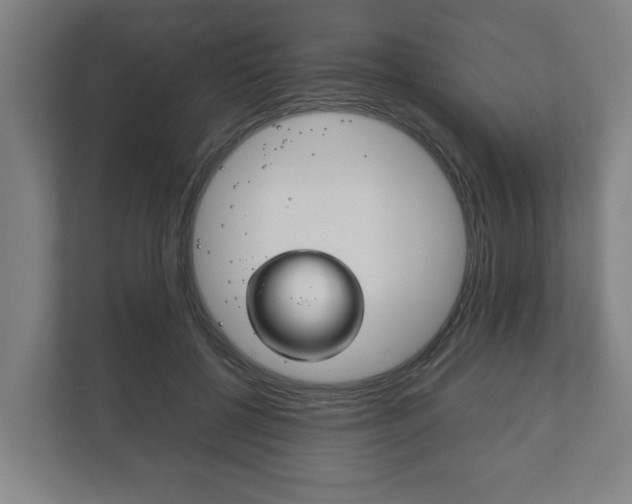 X0000111840552200907231041