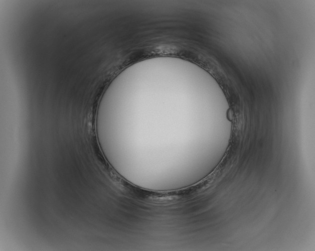 X0000111840553200907231041