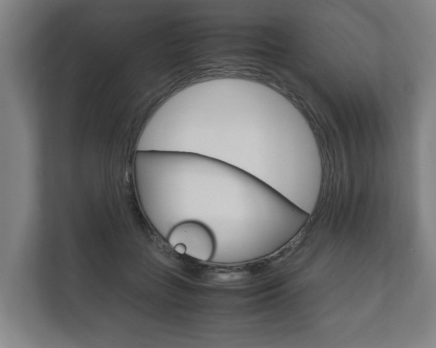 X0000111840555200907231041