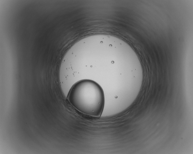 X0000111840556200907231041