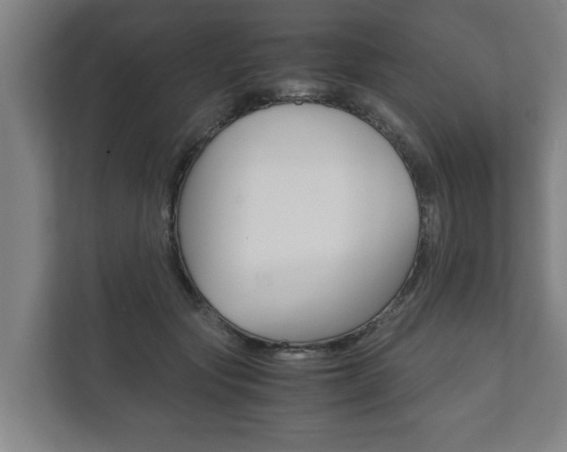 X0000111840557200907231041
