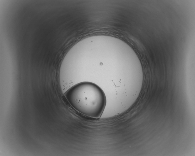 X0000111840558200907231041