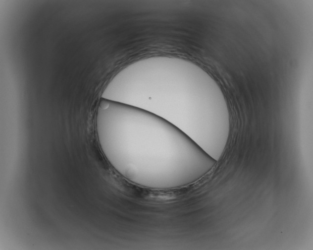 X0000111840559200907231041