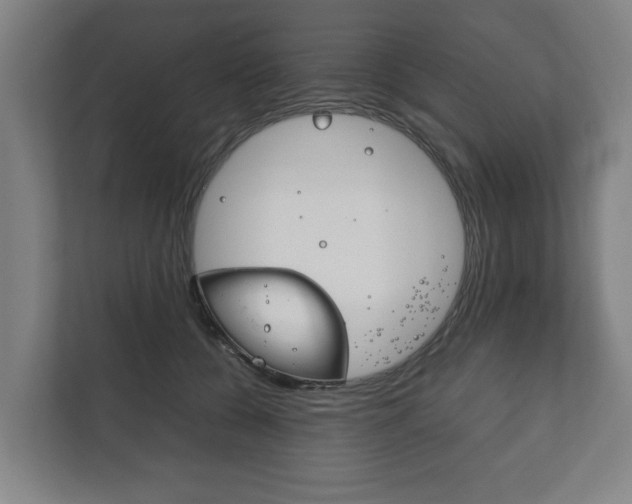 X0000111840560200907231041