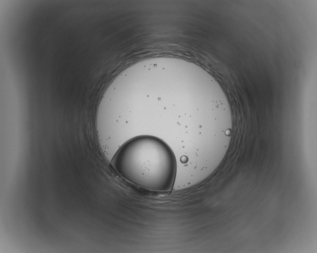 X0000111840562200907231041