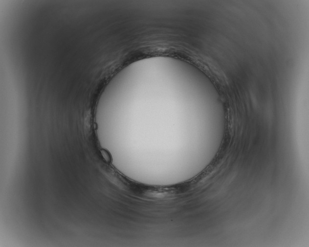 X0000111840563200907231041