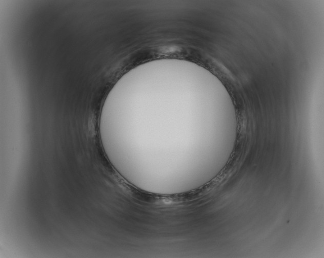 X0000111840565200907231041