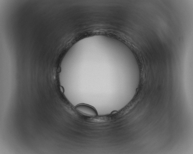X0000111840567200907231041