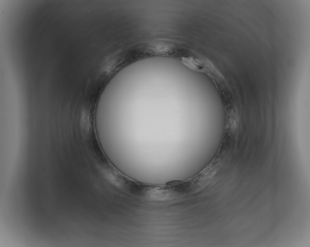 X0000111840568200907231041