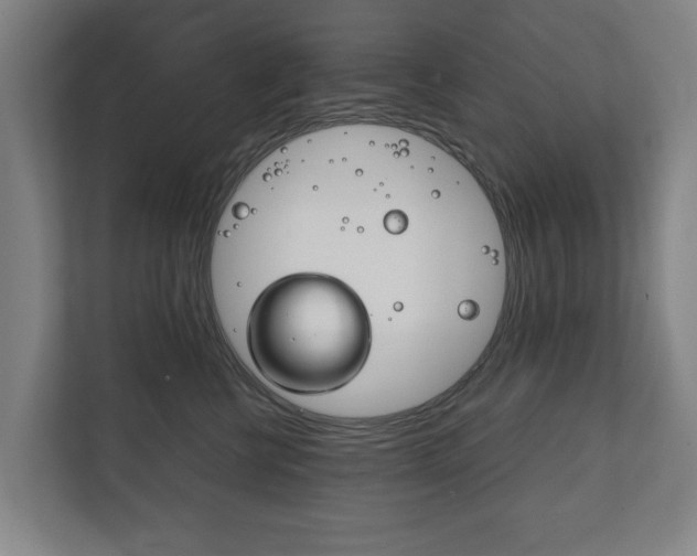 X0000111840570200907231041
