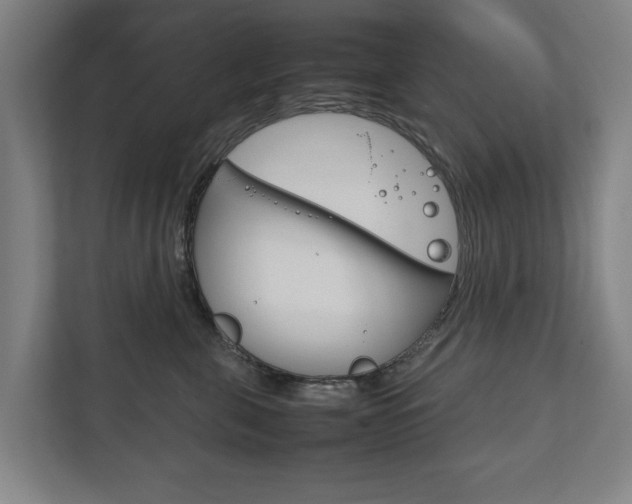 X0000111840571200907231041