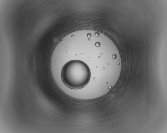 X0000111840572200907231041