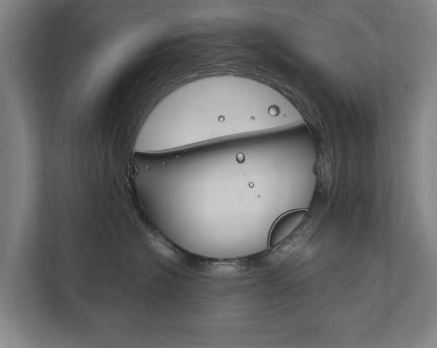 X0000111840574200907231041