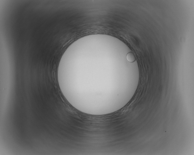 X0000111840576200907231041