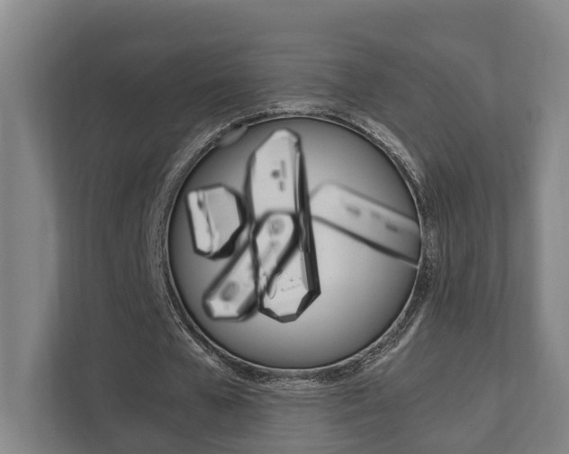 X0000111840577200907231041