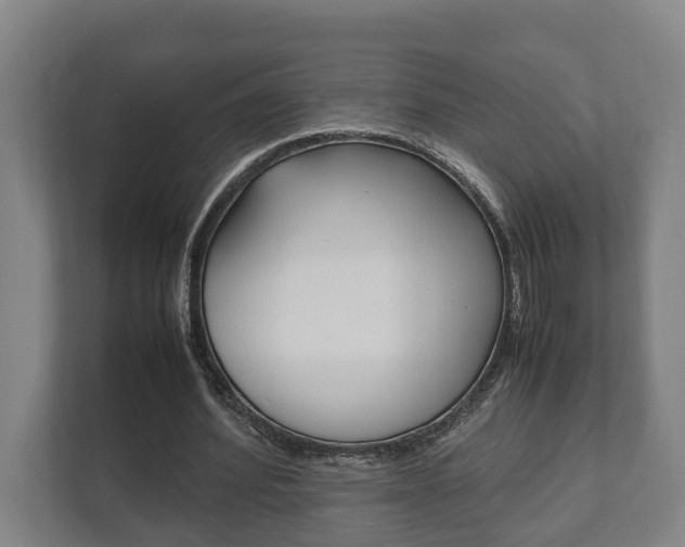 X0000111840580200907231041