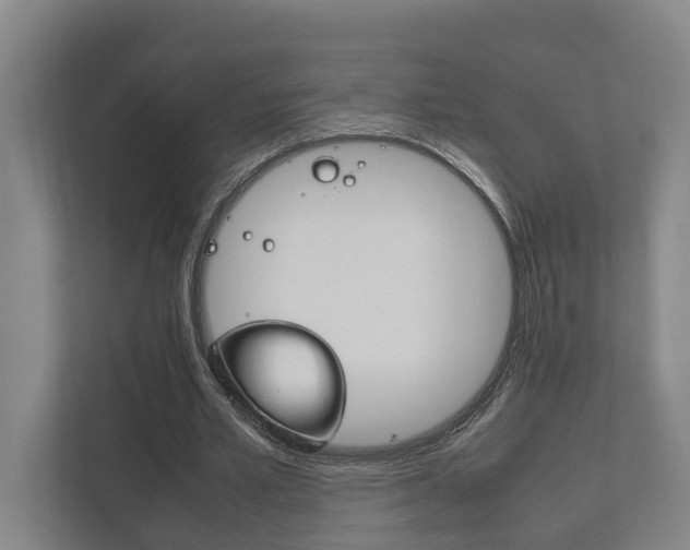 X0000111840581200907231041